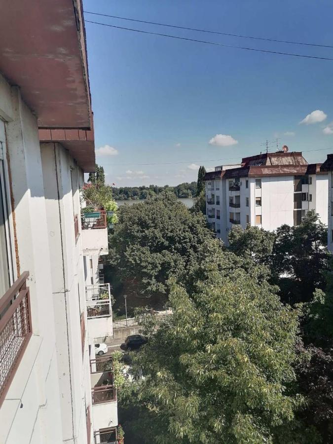 Danube * Belgrad