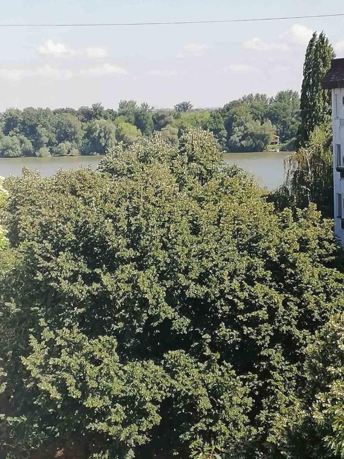 Apartment Danube Belgrad
