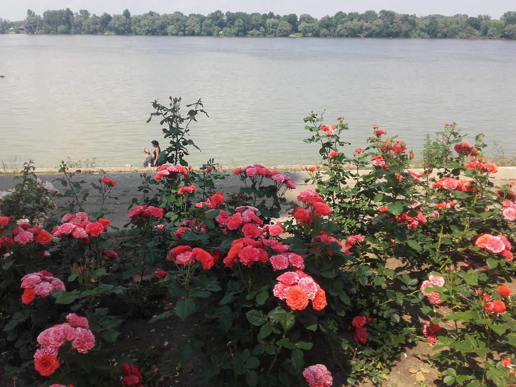 Danube *