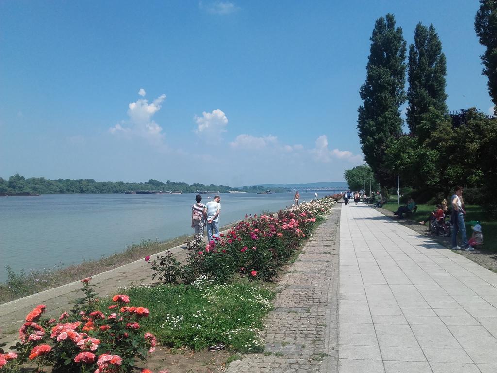 Apartment Danube Belgrad