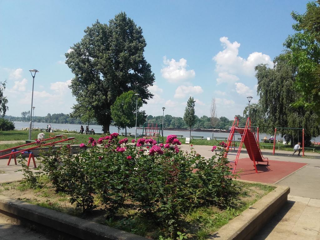 Danube * Belgrad