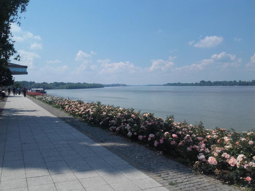Apartment Danube Belgrad